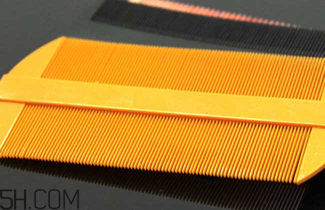 孩子長虱子是怎么回事？孩子長虱子該怎么辦？