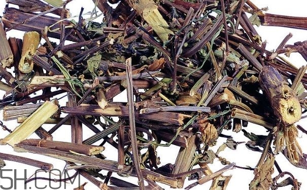 艾葉草洗澡有什么好處？怎么挑選艾葉草？