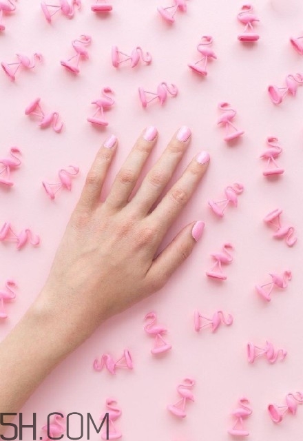 美甲簡約大方圖案大全 日系小清新美甲圖片 美甲簡約大方圖案大全 日系小清新美甲圖片