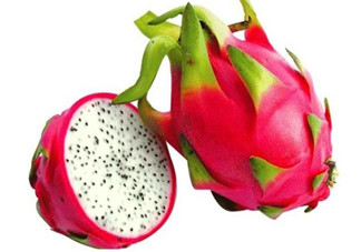 火龍果是熱性還是涼性？哪些人不適合吃火龍果？