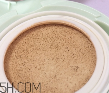 rojank茹妝氣墊cc霜好用嗎？茹妝蜂蜜氣墊皙皙霜評測