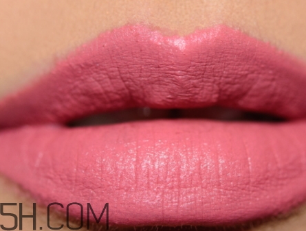 mac please me是什么顏色？mac please me試色