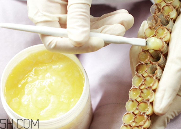 糖尿病人可以吃蜂王漿嗎？蜂王漿有什么功效與作用？