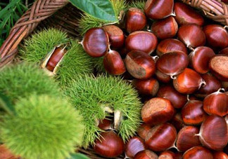 一歲寶寶能吃板栗嗎？寶寶吃板栗的做法有哪些？