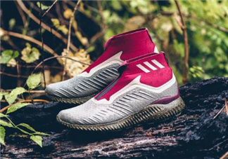 adidas alphabounce zip多少錢_在哪買？