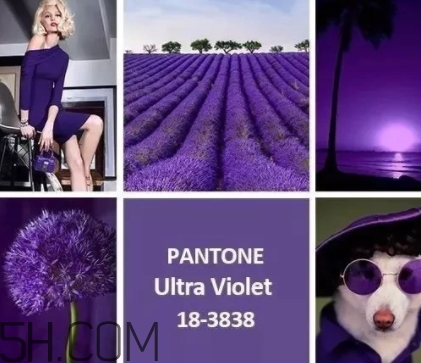 2018流行什么顏色衣服？2018流行衣服顏色搭配