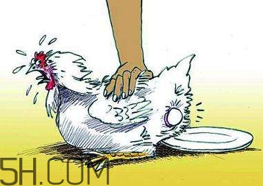 哪些食物補(bǔ)腦？補(bǔ)腦應(yīng)該注意些什么？