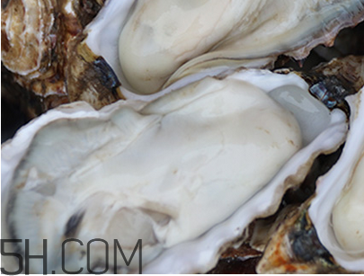 吃生蠔的功效和禁忌 吃生蠔的注意事項 吃生蠔的功效和禁忌 吃生蠔的注意事項