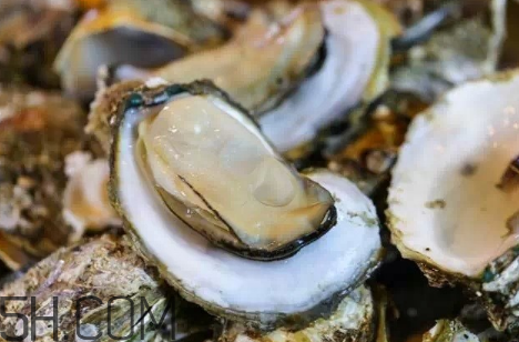 吃生蠔的功效和禁忌 吃生蠔的注意事項 吃生蠔的功效和禁忌 吃生蠔的注意事項