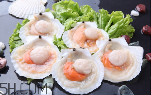 扇貝和生蠔有什么區(qū)別？扇貝和生蠔的營(yíng)養(yǎng)價(jià)值