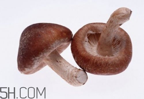 冬天吃什么肉好？冬天吃什么肉比較滋補身體？