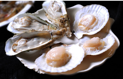 哪些人不能吃生蠔？吃扇貝和生蠔的注意事項