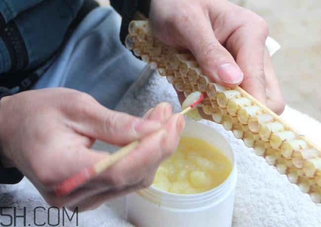 蜂王漿的營養(yǎng)成分有哪些？怎么辨別真假蜂王漿？