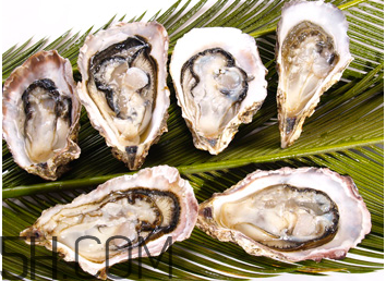 吃生蠔應(yīng)該注意哪些事項(xiàng)？生蠔與牡蠣的區(qū)別