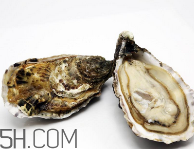 量吃生蠔有哪些好處？生蠔糖尿病人能吃嗎？