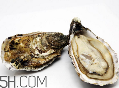 生蠔的食療功效 糖尿病人吃生蠔要注意什么 生蠔的食療功效 糖尿病人吃生蠔要注意什么