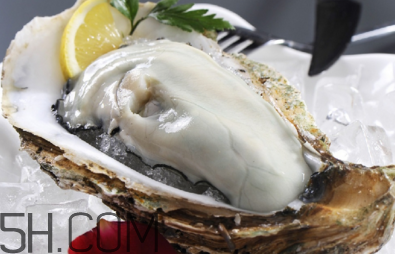 生蠔有哪些食用禁忌？如何像行家一樣吃生蠔？
