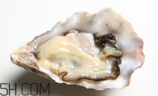 扇貝和生蠔有什么區(qū)別？扇貝和生蠔的營(yíng)養(yǎng)價(jià)值