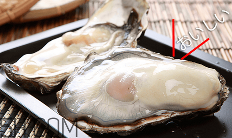 如何挑選活的生蠔？生蠔怎么吃圖解