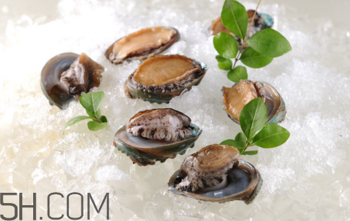 鮑魚怎么做好吃？吃鮑魚注意事項