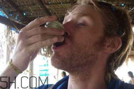 生蠔有哪些食用禁忌？如何像行家一樣吃生蠔？