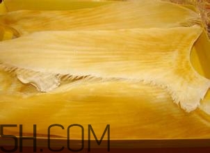 魚翅怎么發(fā)？孕婦可以吃魚翅嗎？