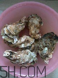 吃生蠔應(yīng)該注意哪些事項(xiàng)？生蠔與牡蠣的區(qū)別