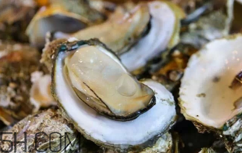 生蠔生吃好嗎？生蠔怎么吃最有營(yíng)養(yǎng)？