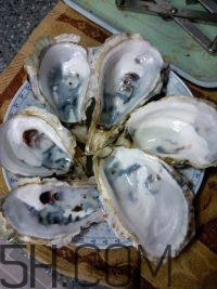 吃生蠔應(yīng)該注意哪些事項(xiàng)？生蠔與牡蠣的區(qū)別