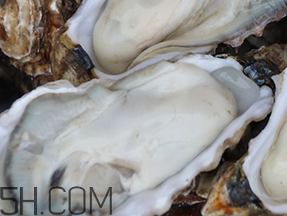 生蠔是什么？吃生蠔的注意事項