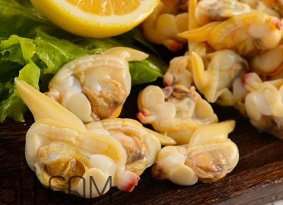 花甲可以冷凍嗎？養(yǎng)花甲鹽和水的比例是多少？