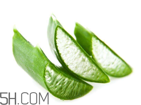 雅麗潔蘆薈膠有激素嗎？雅麗潔蘆薈膠測評