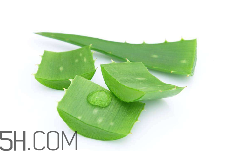 雅麗潔蘆薈膠怎么用？雅麗潔蘆薈膠使用方法