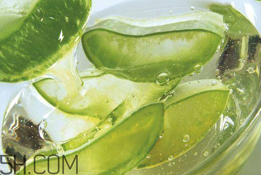 雅麗潔蘆薈膠成分 雅麗潔蘆薈膠保質(zhì)期 雅麗潔蘆薈膠成分 雅麗潔蘆薈膠保質(zhì)期