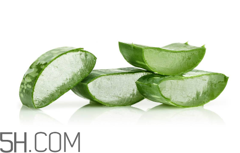 雅麗潔蘆薈膠成分 雅麗潔蘆薈膠保質(zhì)期 雅麗潔蘆薈膠成分 雅麗潔蘆薈膠保質(zhì)期