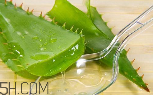 雅麗潔蘆薈膠和完美蘆薈膠哪個好？