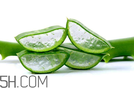 雅麗潔蘆薈膠和完美蘆薈膠哪個好？