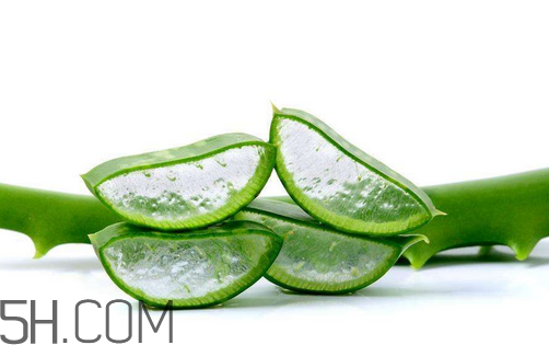 自然樂園蘆薈膠成分 自然樂園蘆薈膠保質(zhì)期 自然樂園蘆薈膠成分 自然樂園蘆薈膠保質(zhì)期