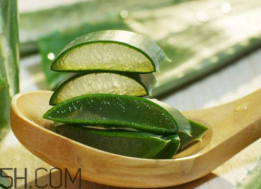 自然樂園蘆薈膠成分 自然樂園蘆薈膠保質(zhì)期 自然樂園蘆薈膠成分 自然樂園蘆薈膠保質(zhì)期