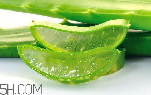 自然樂園蘆薈膠成分 自然樂園蘆薈膠保質(zhì)期 自然樂園蘆薈膠成分 自然樂園蘆薈膠保質(zhì)期