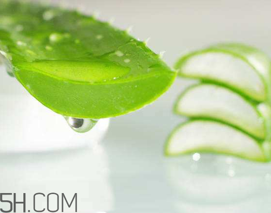 自然樂園蘆薈膠成分 自然樂園蘆薈膠保質(zhì)期 自然樂園蘆薈膠成分 自然樂園蘆薈膠保質(zhì)期