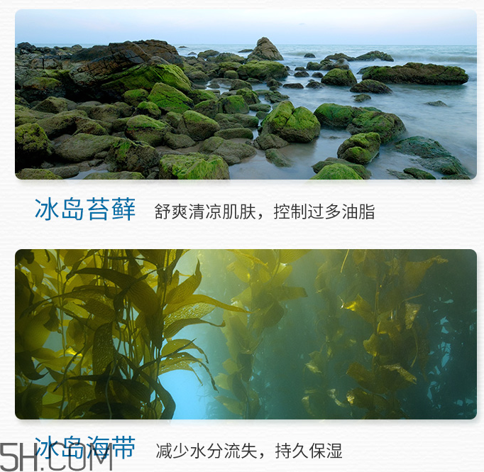 得鮮冰島補(bǔ)水保濕乳液 得鮮冰島補(bǔ)水保濕乳液