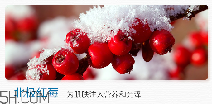 得鮮冰島補(bǔ)水保濕乳液 得鮮冰島補(bǔ)水保濕乳液