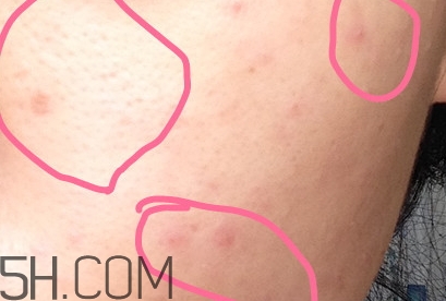 豬油膏怎么用？豬油膏使用順序