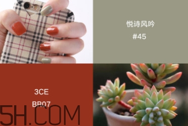 指甲油顏色怎么搭配好看 指甲油配色推薦 指甲油顏色怎么搭配好看 指甲油配色推薦