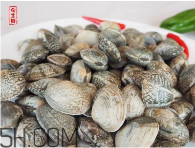 花甲可以冷凍嗎？養(yǎng)花甲鹽和水的比例是多少？