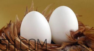 生蠔和雞蛋可以一起吃嗎？生蠔不熟可以吃嗎？