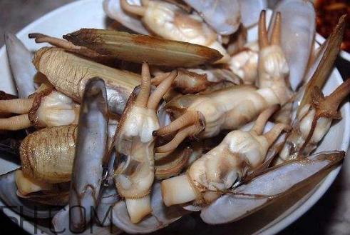 蟶子里面的黑色能吃嗎？蟶子為什么一撒鹽就出來？