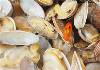 花甲可以冷凍嗎？養(yǎng)花甲鹽和水的比例是多少？