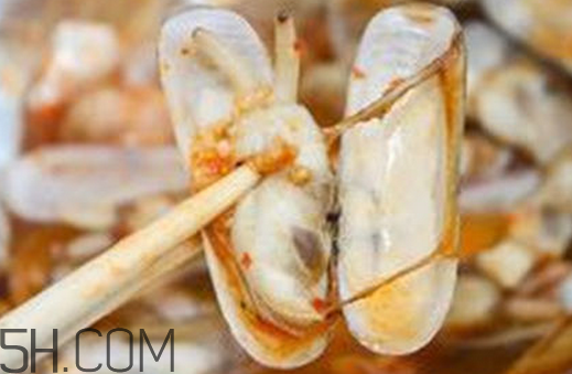 蟶子可以養(yǎng)多久？孕婦吃蟶子注意事項(xiàng)